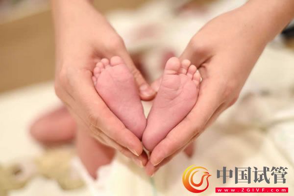 懷孕期間的必查項(xiàng)目一覽，從孕早期到孕晚期檢查可分這7次(圖1)