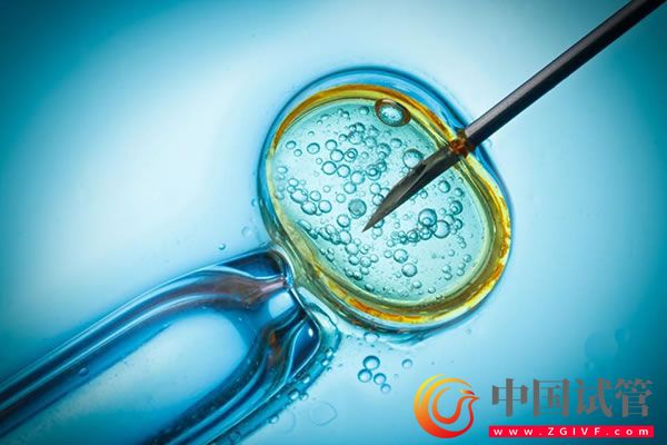 公立醫(yī)院人工受孕費用詳解，精打細算避免花冤枉錢(圖1)