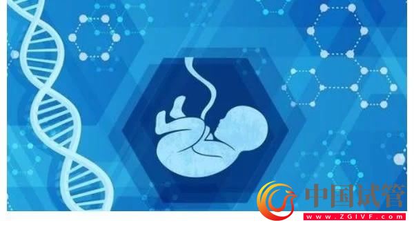 醫(yī)生建議人工授精幾次不成功就轉(zhuǎn)試管？(圖1)