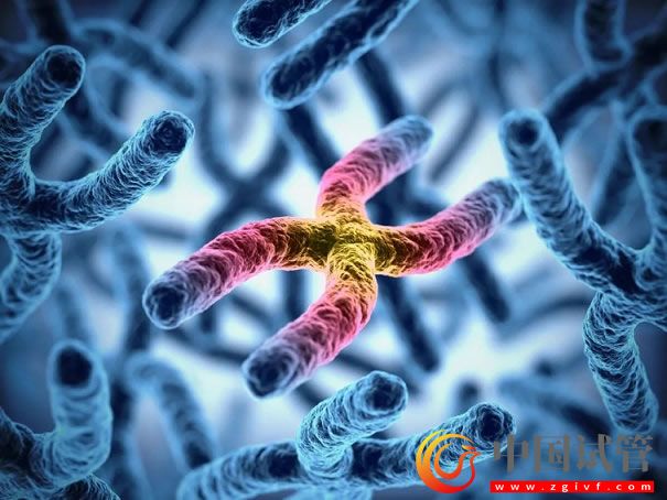 哪幾個(gè)區(qū)域的y染色體微缺失符合第三代試管指征？(圖1)