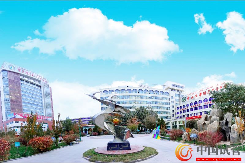 喀什地區(qū)第一人民醫(yī)院(圖2) 喀什地區(qū)第一人民醫(yī)院(圖2)