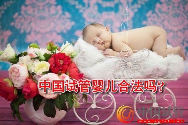 中國試管嬰兒合法嗎？(圖1)