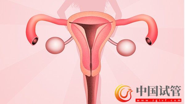 什么是卵巢囊泡7招助女人保養(yǎng)卵巢(圖2)