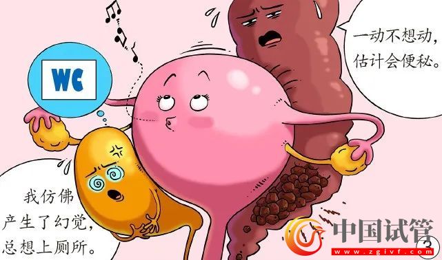 孕媽臟器會(huì)挪地兒(圖3)