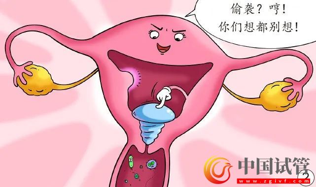 孕媽臟器會(huì)挪地兒(圖2)