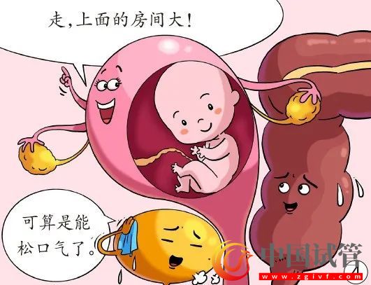 孕媽臟器會(huì)挪地兒(圖4)