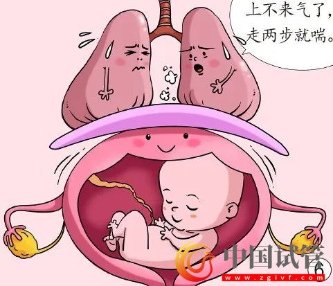 孕媽臟器會(huì)挪地兒(圖6)