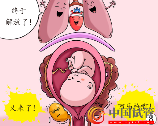 孕媽臟器會(huì)挪地兒(圖8)