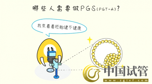 什么是PGT、PGS和PGD？(圖5)