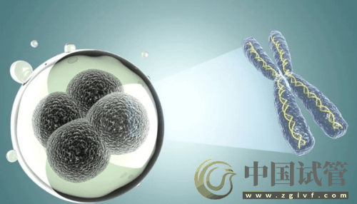 什么是PGT、PGS和PGD？(圖6)