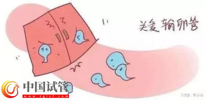 卵巢早衰卵泡不發(fā)育怎么辦？卵巢早衰可以借卵試管生孩子嗎？(圖5)