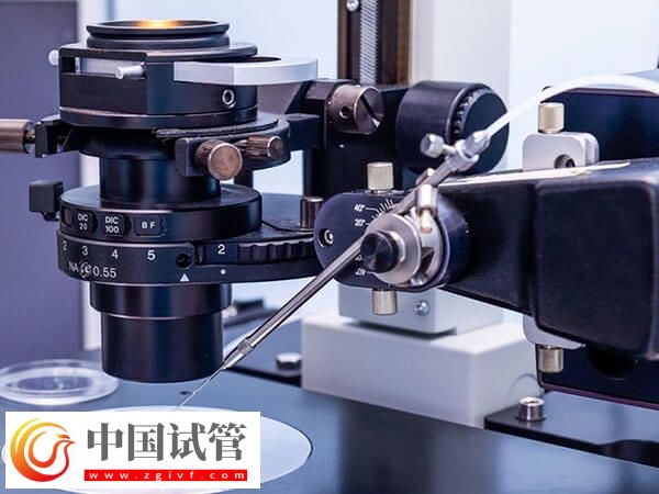 新鄉(xiāng)供卵試管嬰兒2個月就能完成，但這五個步驟可不能忽視(圖1)