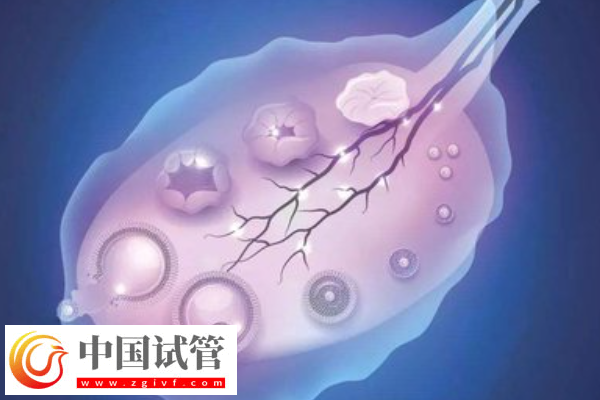許昌三代試管機(jī)構(gòu)騙局科普，一文叫你如何防止被騙(圖1)