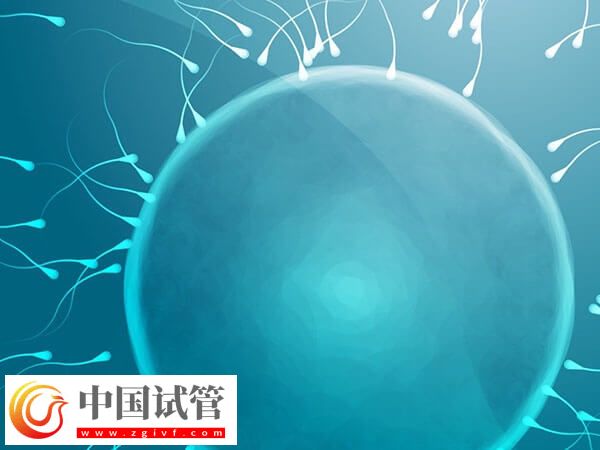 49歲高齡做試管嬰兒易生化，染色體異常是主要原因(圖1)
