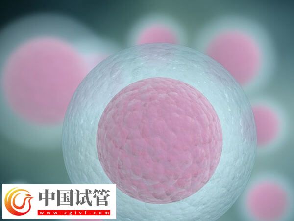 女性卵子質(zhì)量差易不孕，日常補(bǔ)鐵好處多多！(圖1)