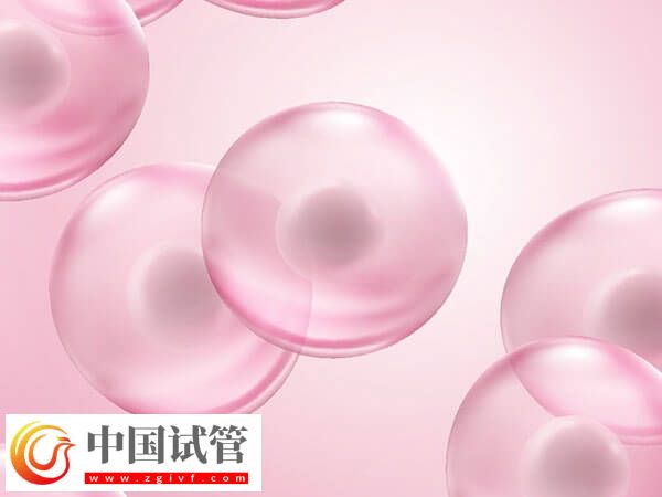 女性卵子質(zhì)量差易不孕，日常補(bǔ)鐵好處多多！(圖2)
