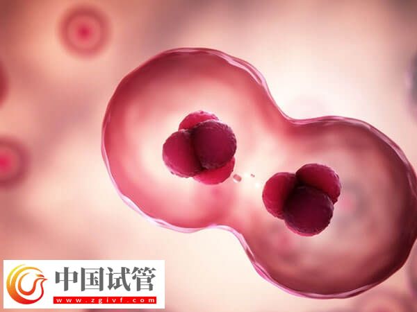 促排期間腹部不舒服、體溫升高要小心，可能是卵泡早排！(圖1)