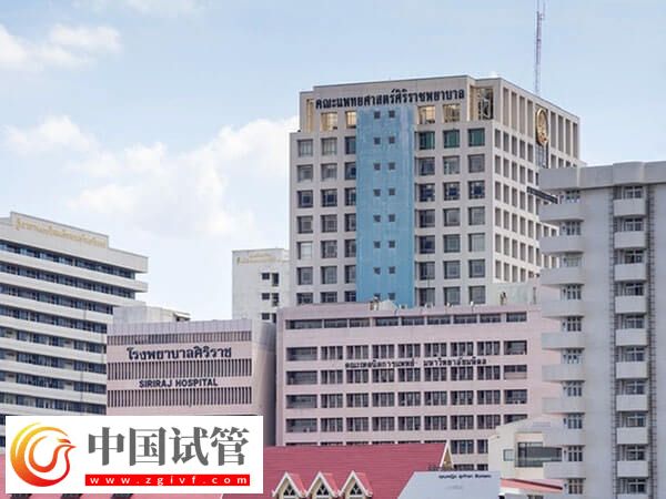 長(zhǎng)沙公立供卵機(jī)構(gòu)分享，等待時(shí)長(zhǎng)平均3年起步！(圖2)