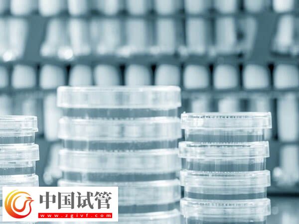 長沙熱門人工受孕醫(yī)院匯總，前三家成功率均在50%以上(圖3)