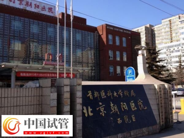 北京朝陽醫(yī)院試管嬰兒收費詳解，生雙胎僅需這個數(shù)...(圖1)