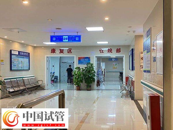 文昌做一次人工授精至少1萬元，想節(jié)約費(fèi)用提高成功率是關(guān)鍵(圖1)