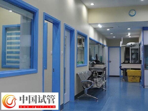 南寧試管嬰兒妊娠率解析，多次治療好孕率可達(dá)70%(圖2)