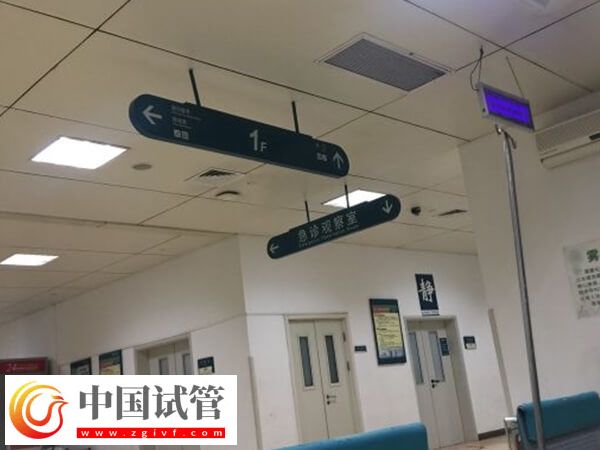 杭州6大試管嬰兒專家介紹，臨床妊娠率均在50%上下(圖1)