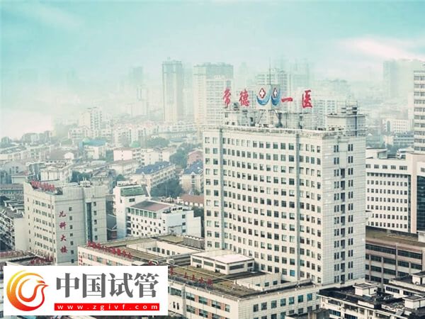 常德市第一人民醫(yī)院試管嬰兒怎么樣，成功率&費用來說話(圖1)