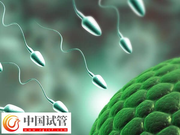 常德市婦幼保健院助孕攻略手冊，附一、二、三代成功率參考(圖2)