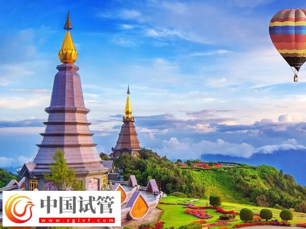 海外各國試管嬰兒費用一覽，內(nèi)含西班牙、印度等地(圖1)