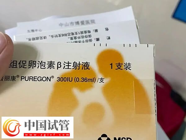 試管嬰兒查體到移植至少2個(gè)月，期間做好這些更容易成功(圖1)