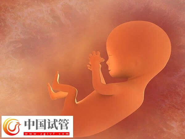 烏海婦幼保健院做試管嬰兒哪個(gè)醫(yī)生好？附三大專家簡(jiǎn)介(圖1)