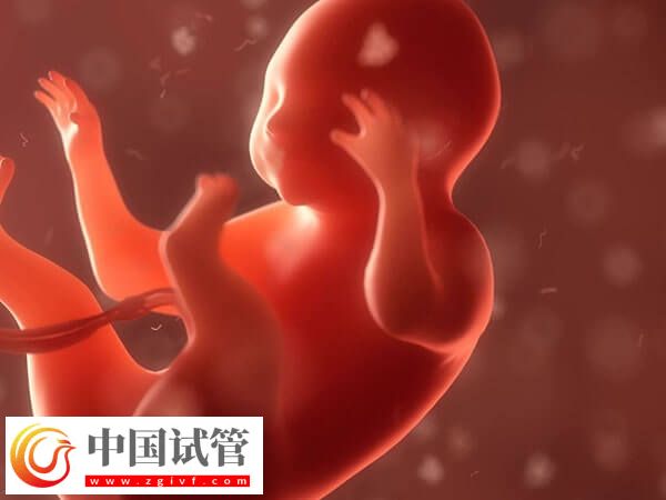 囊胚著床失敗or生化判斷方法匯總，看時間是技巧之一(圖1)