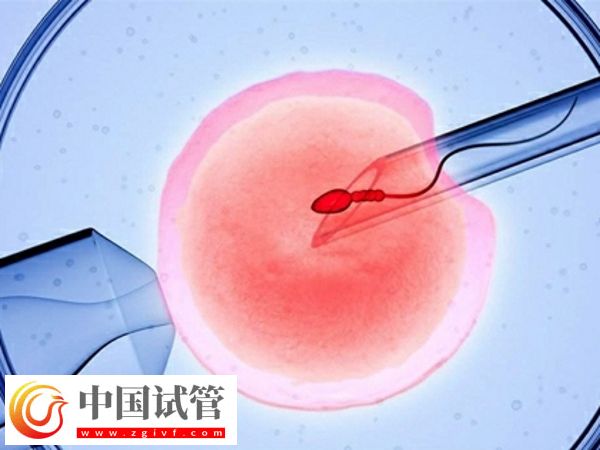 44歲試管嬰兒一次成功，希望姐妹們分享分享(圖1)
