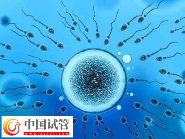 山西煤炭醫(yī)院夫精人工授精收費標準：單周期預算6K起(圖1)
