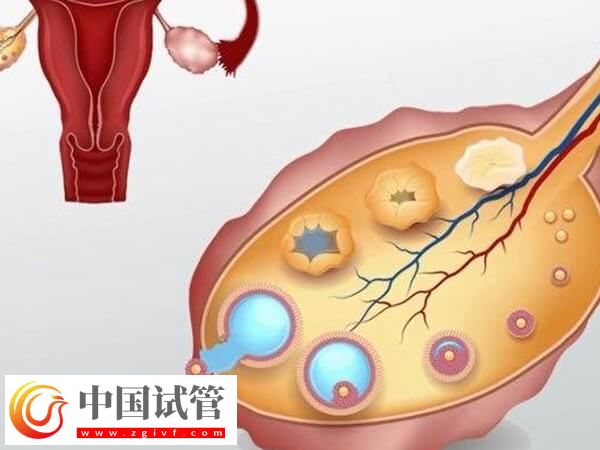 鞏義人工助孕機(jī)構(gòu)排行榜揭曉，市婦幼保健院口碑第一(圖2)