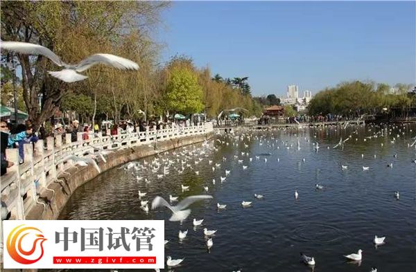 帶你了解昆明私立婦產(chǎn)醫(yī)院，試管技術(shù)和口碑好不好看這里(圖1)