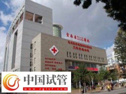 紅河有沒(méi)有做二代試管嬰兒的醫(yī)院？(圖5)