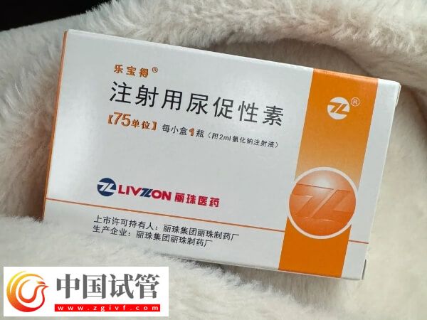 促排卵期間尿促性素針75單位打多久卵泡成熟？(圖1)