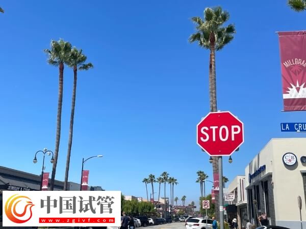 全世界范圍內(nèi)試管嬰兒哪個(gè)國(guó)家技術(shù)更先進(jìn)一些？(圖1)