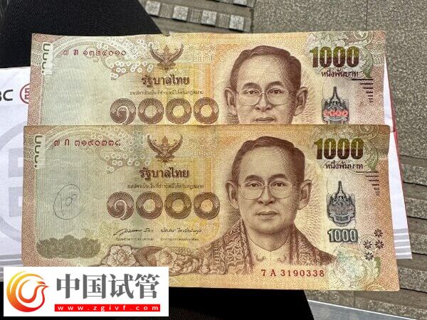 單身赴泰國(guó)做試管嬰兒會(huì)涉及哪些收費(fèi)項(xiàng)目？(圖1)