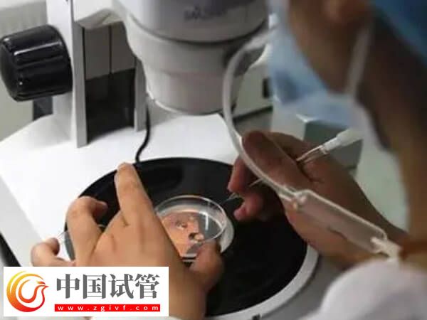 嵌合體30%其實(shí)也可以做試管嬰兒移植，比例才是成功關(guān)鍵(圖2)