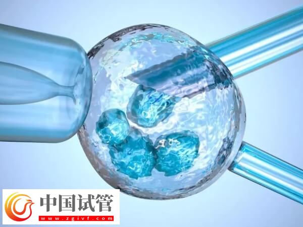 試管嬰兒移植后需不需要大補(bǔ)(圖1)