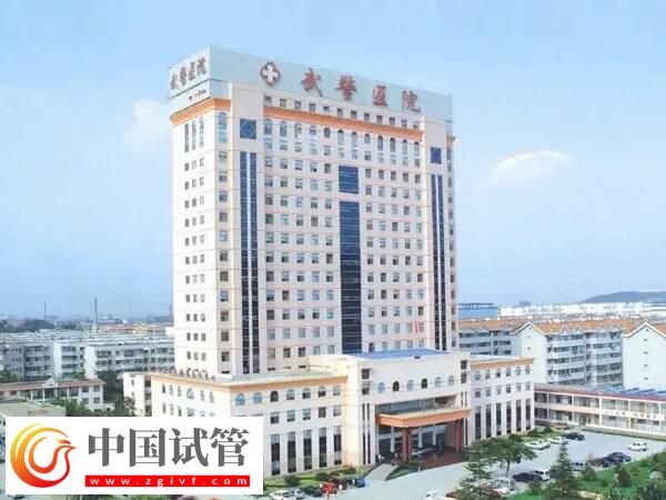 武警廣東總隊(duì)醫(yī)院試管嬰兒怎樣(圖1)
