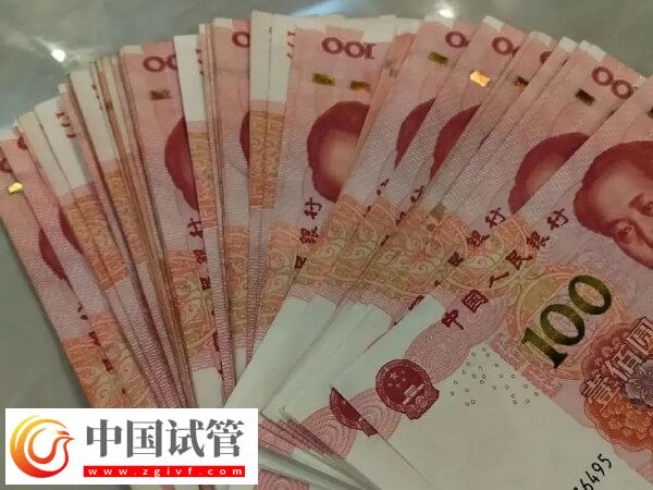 美國試管嬰兒最新花銷速覽，共計預算多少一目了然(圖1)