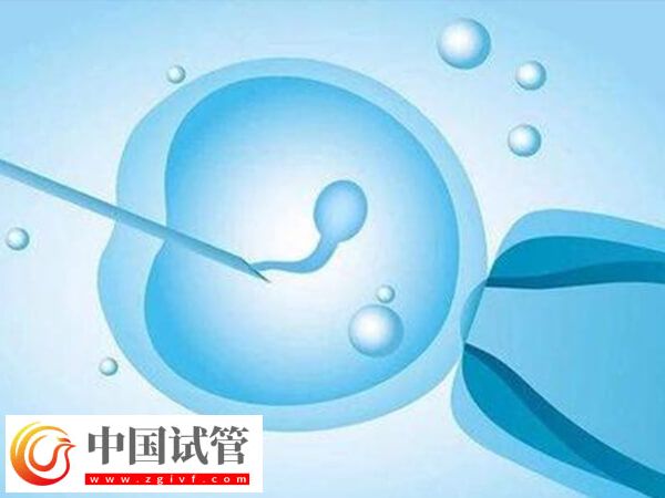 北京協(xié)和醫(yī)院試管嬰兒成功率(圖1)