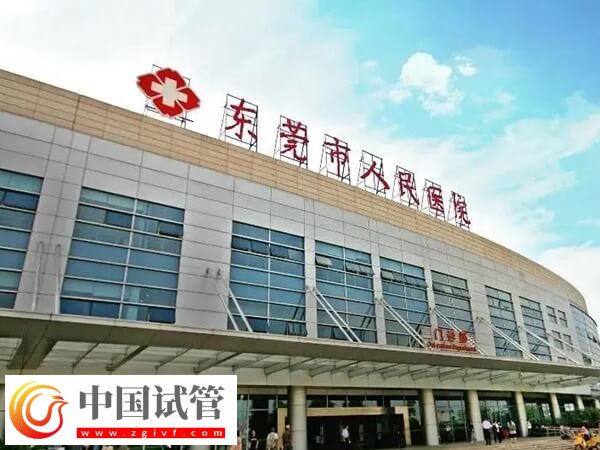 東莞二代試管嬰兒高移植率醫(yī)院匯總，附最新助孕率(圖1)
