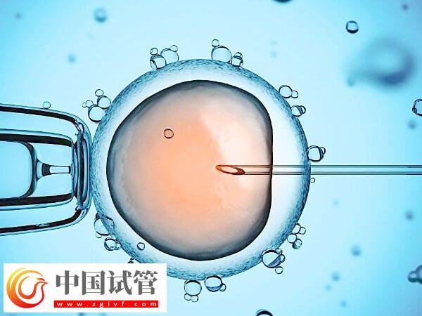 三代試管和一代試管成功率哪個(gè)高(圖1)