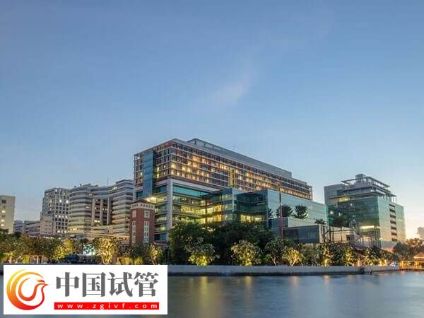 泰國三代試管嬰兒人均消費15s知，附適應癥(圖1)