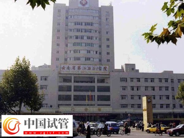 昆明供卵試管嬰兒機(jī)構(gòu)有哪些(圖1)